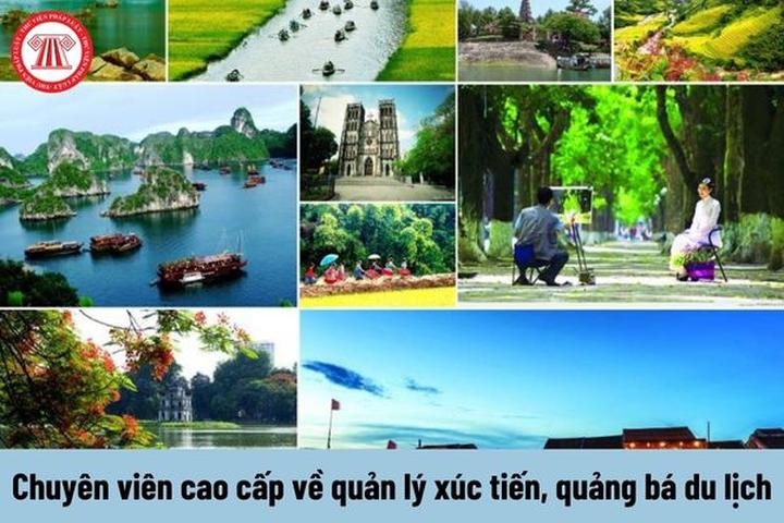 Xu hướng 6/6 năm nay trôi qua trong: Hotspot Matrix tiết lộ bí quyết video viral