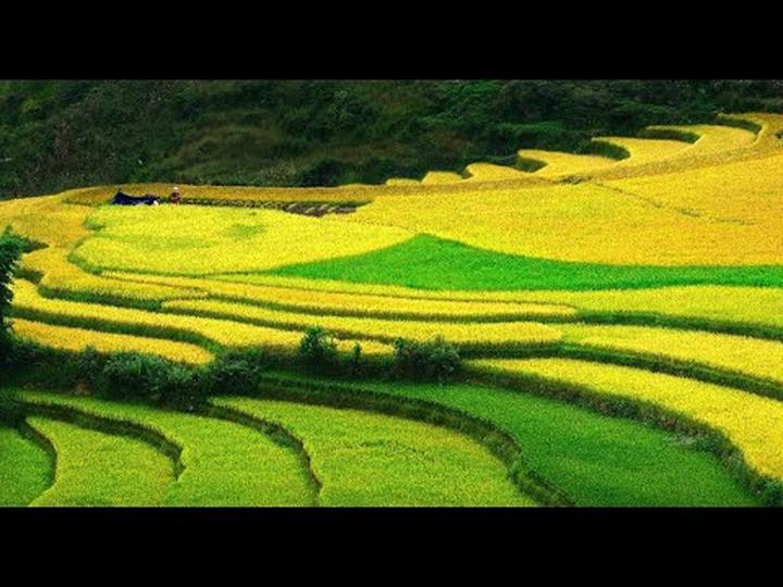 Hotspot Matrix: Biến 6/6 năm nay trôi qua trong thành cơ hội marketing đột phá