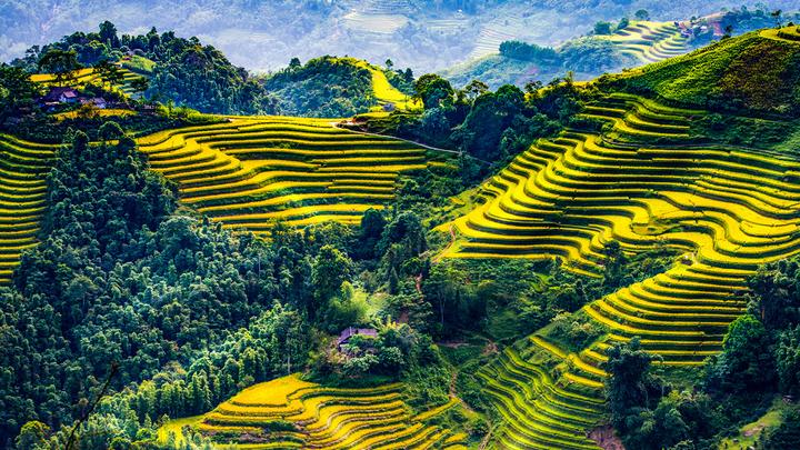 Hotspot Matrix: Chìa khóa vàng cho giáo viên tiếng Anh kiếm thêm thu nhập