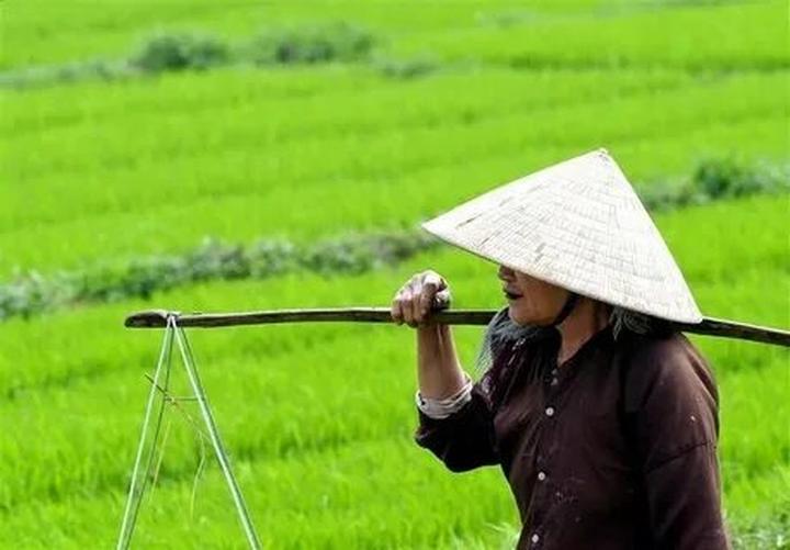 Hotspot Matrix và Mỹ nhân có